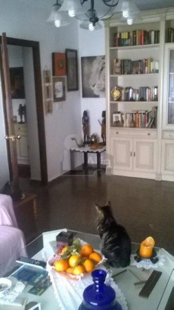 REF: 313 Piso en venta en Playa del Cura / Torrevieja (Alicante).